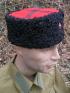 kubanka1s.jpg (3894 bytes)
