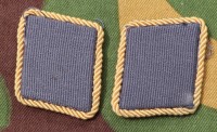 yuc2s.jpg (49136 bytes)