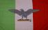 rsi-flag.jpg (2510 bytes)