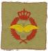 irp19s.jpg (3588 bytes)