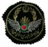 iran15s.jpg (58966 bytes)